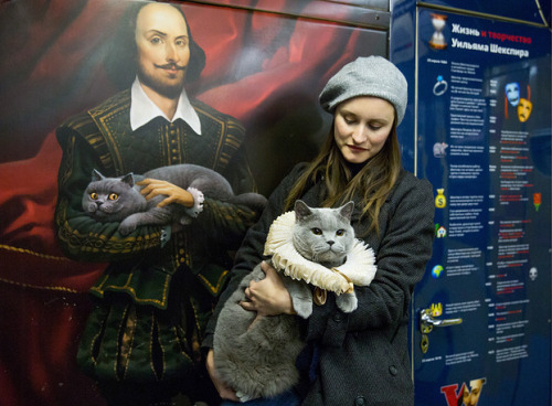 quillionaire:ohsoromanov:The Bard, The Cat and The Metro: British Feline Rides Moscow’s Shakespeare 