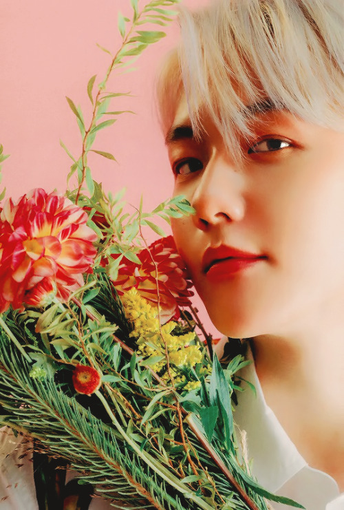 sefuns:Baekhyun — 「BAEKHYUN」 Album Booklet (Stars Ver.) 