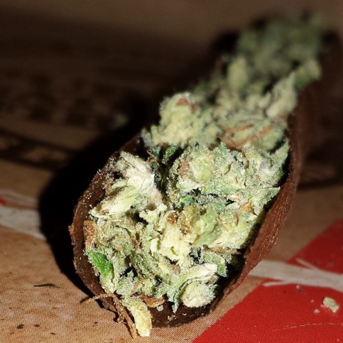 tumblr photo datboyteejayy 0