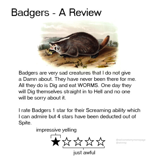 Animal Reviews!