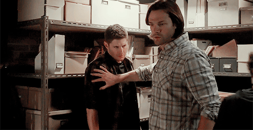 yaelstiel:Actual human shield Sam Winchester. [10.10]