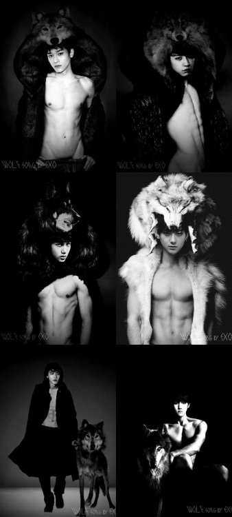 nallari-chen-jongdae:“another exo wolf edit collage” 