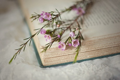 books-andflowers: Books and flowers #2
