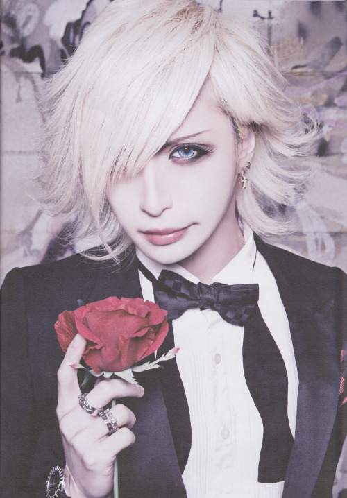 stray-prince:  kyoselflove:    「激-MASSIVE-突 全国編」 DIAURA VS MEJIBRAY Photobook [X]  @paradigm-parad0x !!! 