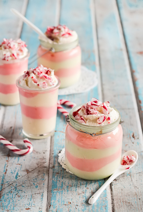 hobbyhiatus:Candy Cane White Chocolate MousseFeatured on raspberri cupcakes