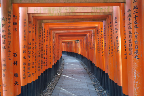 Approach to the shrine ,Kyoto