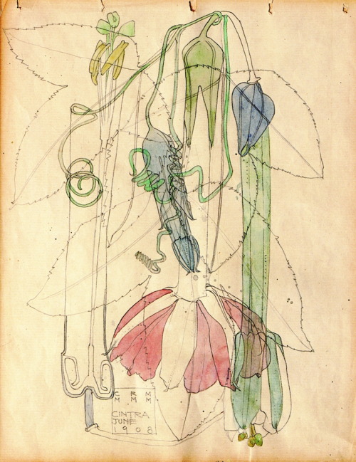 windypoplarsroom: Charles Rennie MacKintosh -  “Cintra”