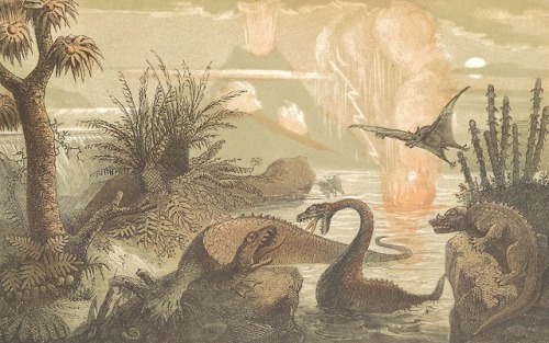Le monde avant la création de l'homme, ou Le berceau de l'univers - Dr. W. F. A. Zimmermann - 1862 -