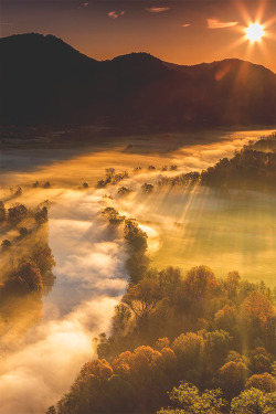 wearevanity:  Fog &amp; The Forest  that&rsquo;s just gorgeous