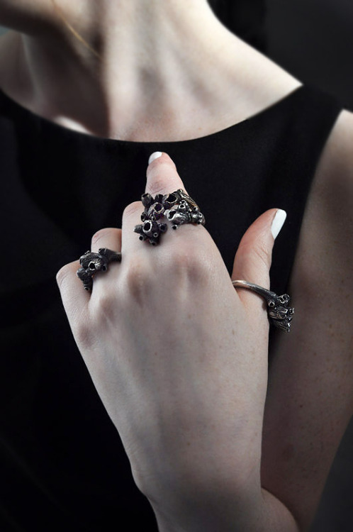 Barnacle rings by Andrew Haviland