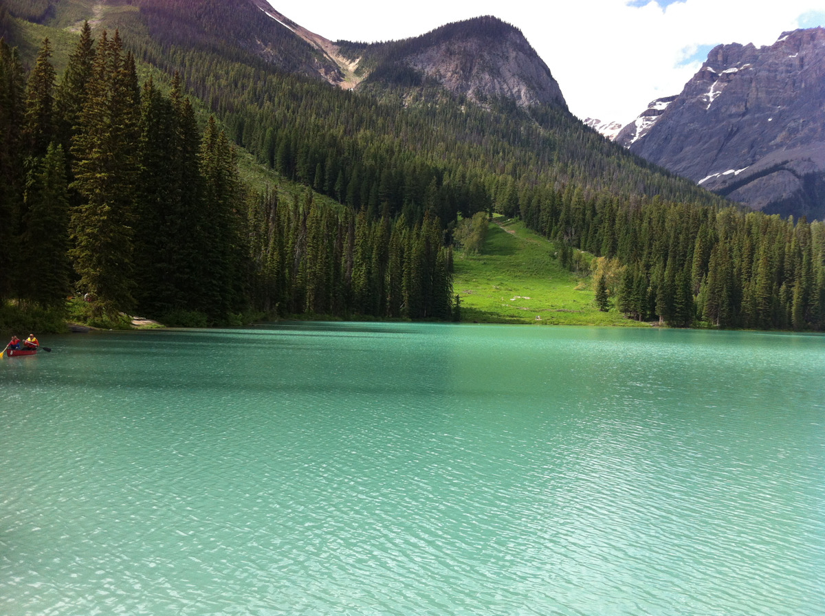 shoulderblades:  my parents are in canada and my mom just sent me this picture of