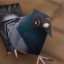 bootlegpigeon