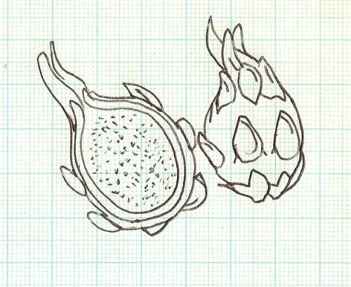 pretty-transparents:  some doodles of food I keep seeing on my dashﾟ*｡:ﾟplease do not delete this text  