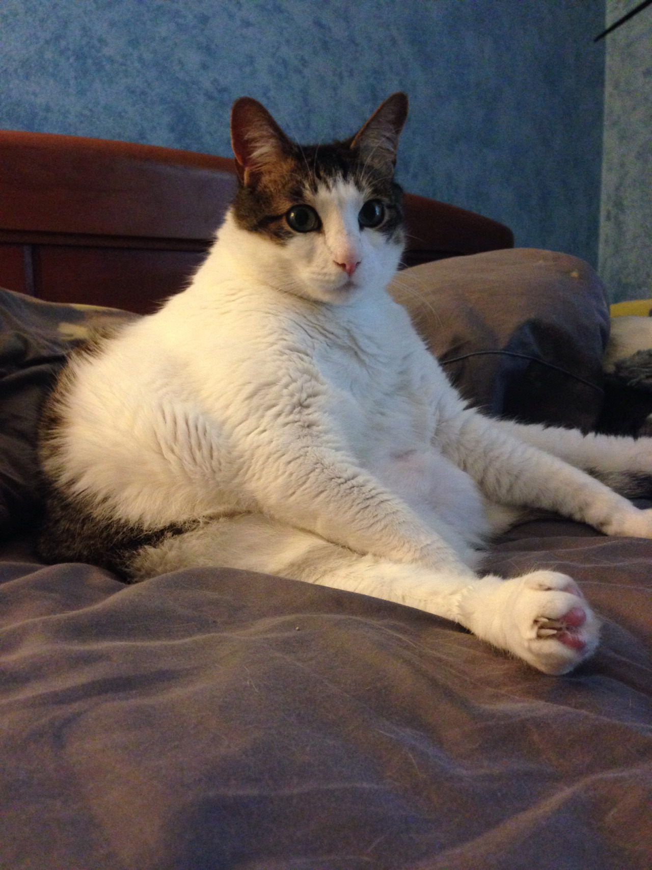 mannyposting for my new followers