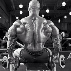 Drwannabe:  Phil Heath. Lats… 