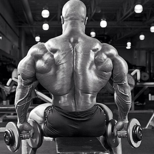 drwannabe:  Phil Heath. Lats… 