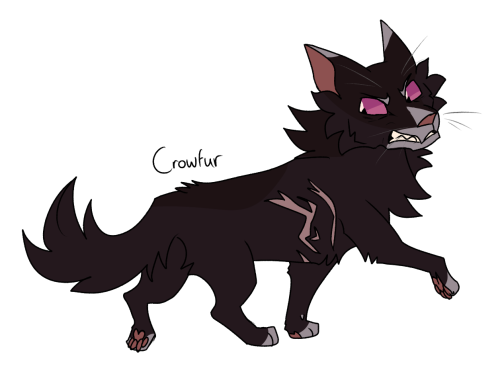 #crowfur#warrior cats#warriors#wc#windclan#tpb #every cat challenge tag