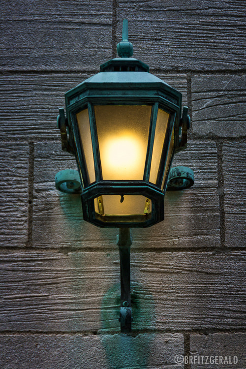 Lamp at Princeton University.
Photo © Brian R. Fitzgerald (brfphoto.tumblr.com)