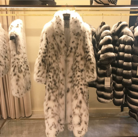 monclermimosa: Lynx 👑💎 I spied it there on the rack.  It called to Me. I have a keen eye for the best. The softness, the thickness. The flawless transitions of the pelts and tailoring.“How many?” I asked.The owner, a bit confused, replied