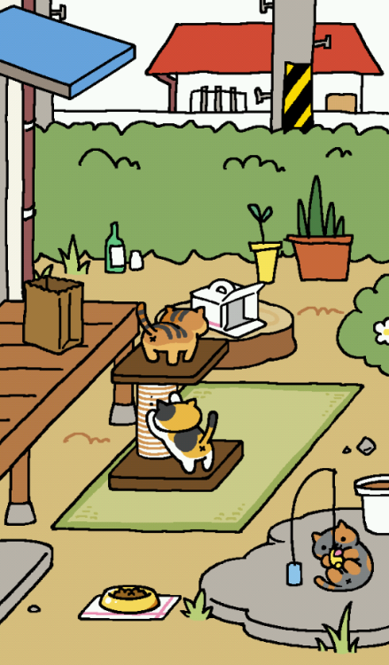 All i can see are x butts of your cats.