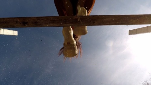 bonnes-the-horse:I got to try out my new GoPro!