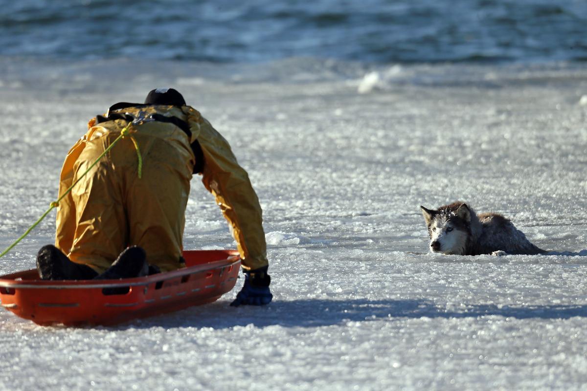 awkwardsituationist:  photos by mark garfinkel of boston firefighter sean coyle rescuing