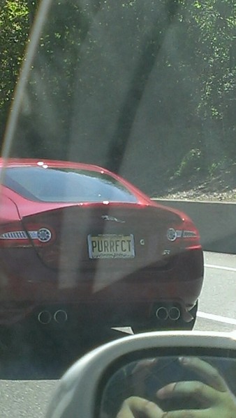 Spotted: Garden State Parkway, May 2014 PURRFCT