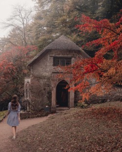 autumncozy:  By monalogue