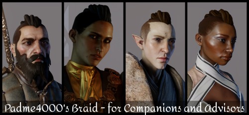 padme4000modder: A braid I made myself from scratch and it is available for the companions and advis