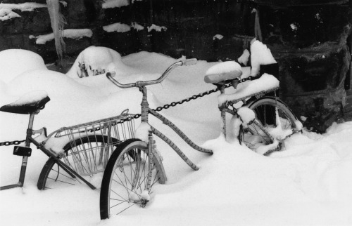 oberlincollegearchives:Welcome Winter!While it’s not technically winter just yet (it will officially