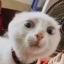 spookytigernut