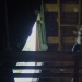 jasminejarss:After Yang (2022) dir. Kogonada
