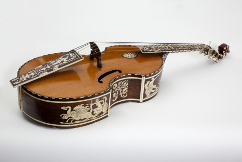 Joachim Tielke, Bass viol, 1700. Rosewood back and pine soundboard, engraved ivory, inlaid tortoises