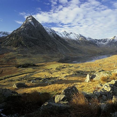 national-trust:Snowdonia is an iconic part of the Welsh countryside, home to a variety of species of
