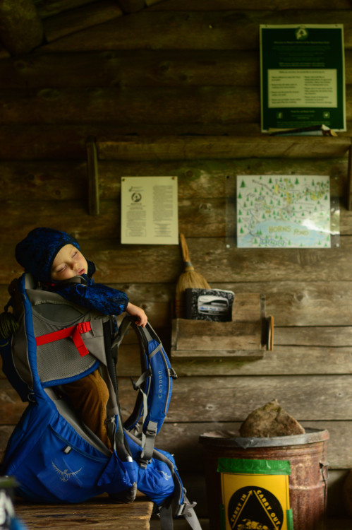 4 MilesThat long pack ride really tuckered him out. We’ve found the lean-to’s in-between the horn pe