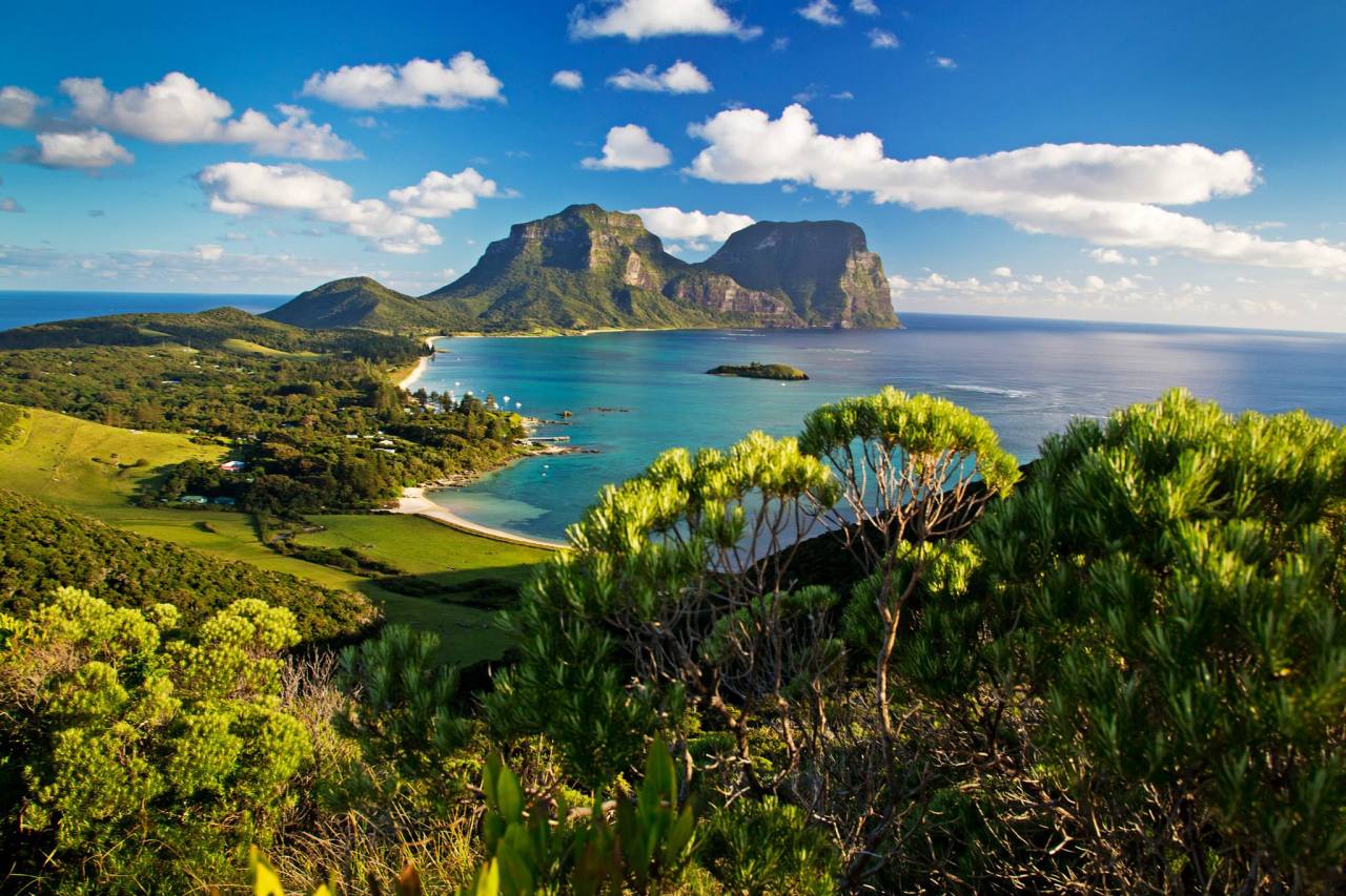 Wonder down under (grounds of Capella Lodge on Lord Howe Island, Australia)