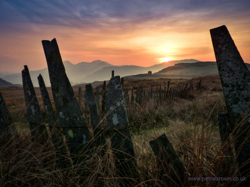 mydododied:The crooked teeth of the traditional welsh slate fence make for a great foreground to a p