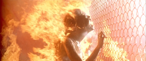 heyreallygiger: Terminator 2: Judgement Day (1991) · James Cameron