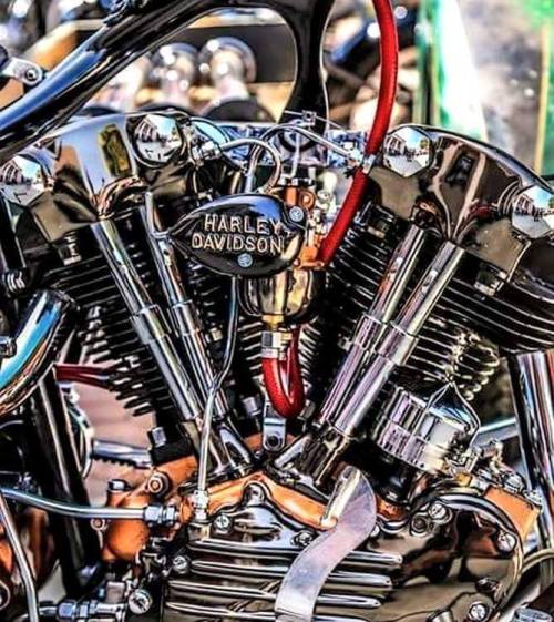 bikerkim62:  Harley pornografi 😎