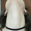 fnajade