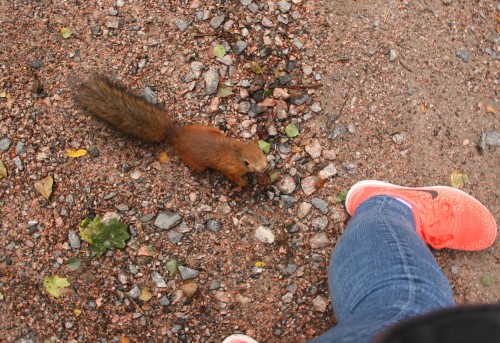 at Seurasaari, HelsinkiI felt like Disney Princess Snow White when the birds flew so close over my h