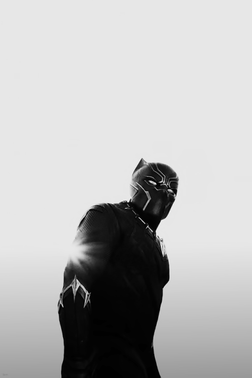 3intheam:t'challa. the black panther