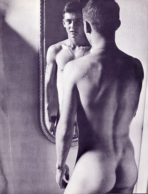 XXX vintagemaleerotica:  Steve Bush, by All American.1960s photo