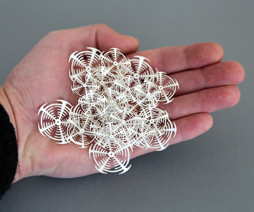 archiemcphee:Artist Rogan Brown (previously featured here) continues to combine art and science with