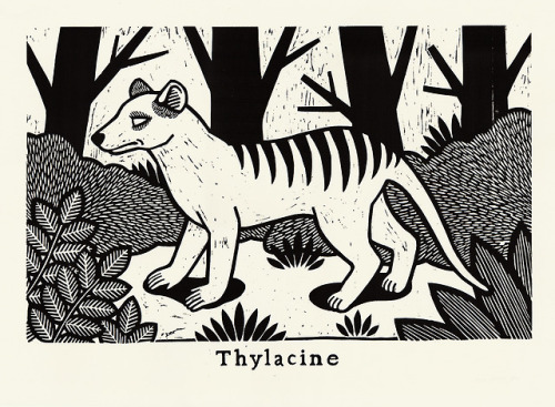 Thylacine Woodcut