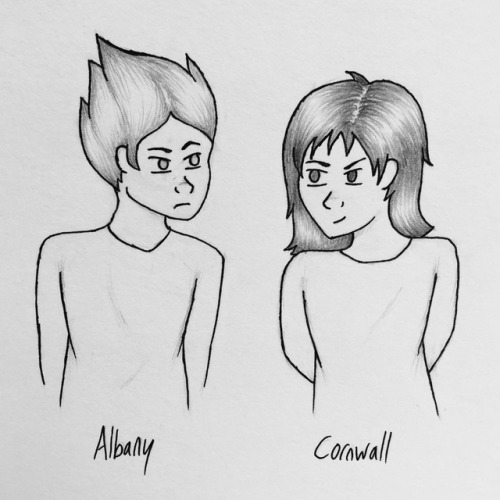 the Dukes of Albany and Cornwall