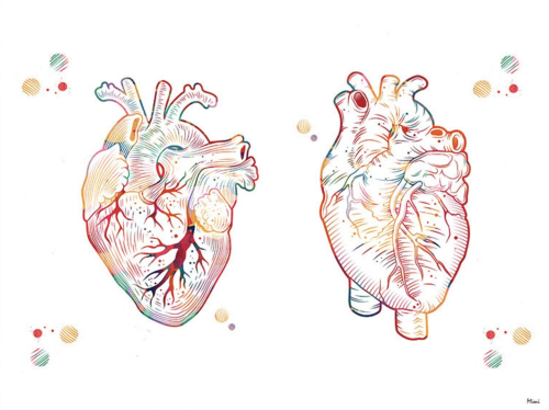 mednerds: Medical Art by MimiPrints