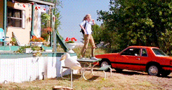 salmonypink:The Endless List Of Films I LoveDrop Dead Gorgeous (1999)