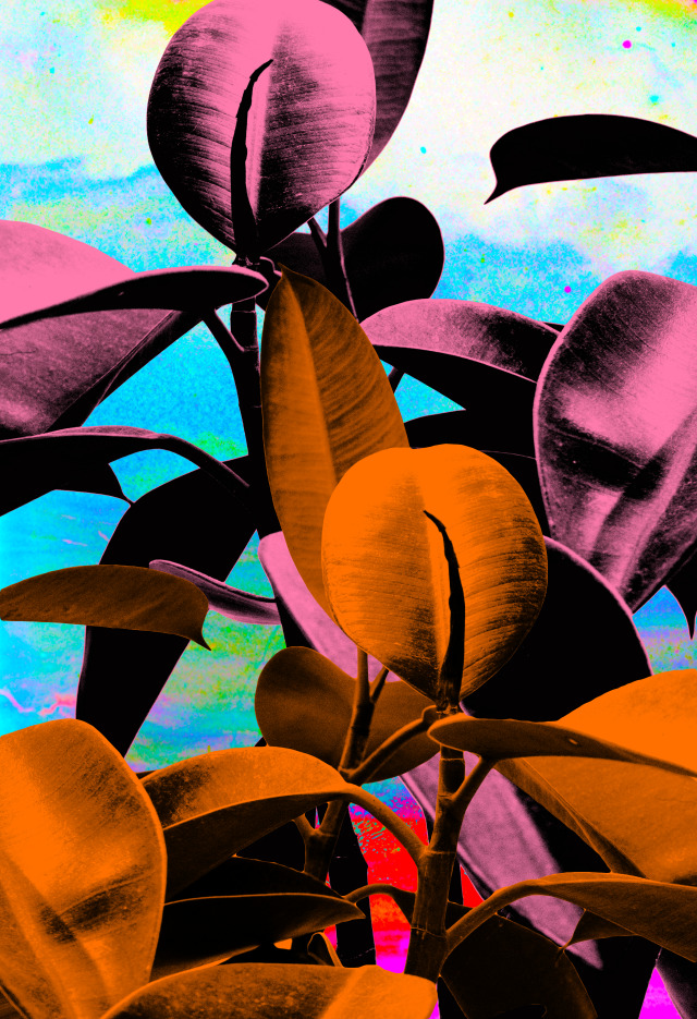 Artwork Copyright © Tyler Spangler Shop: ShopTylerSpangler.com