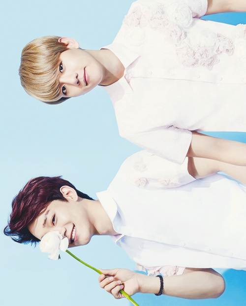 jjang-seori - asria.